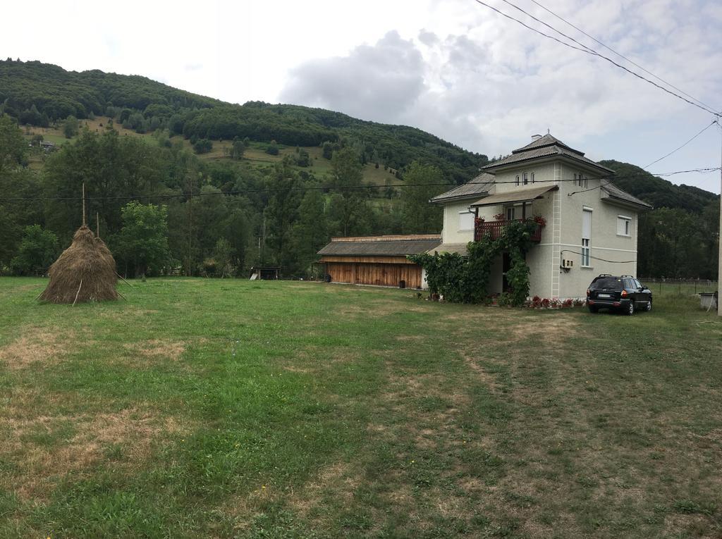 Casa Danut Villa Vidra  Exterior photo